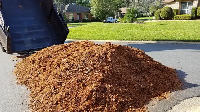 FLORIDA PRO LAWN CARE — photo from the business 9