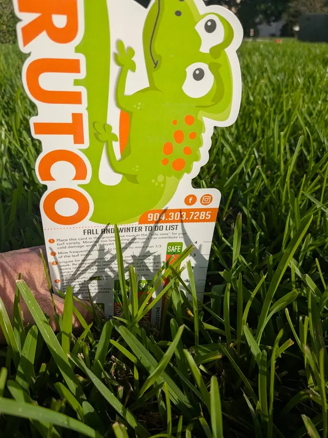Trutco — photo from the business 5