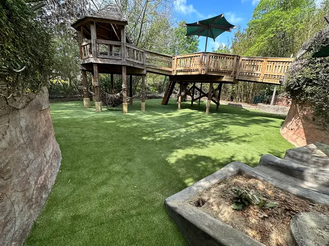 SYNLawn Jacksonville — photo from the business 5
