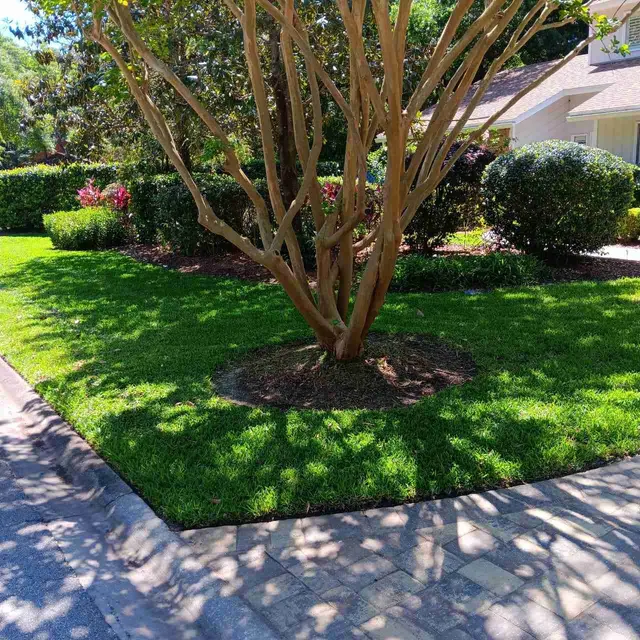 Lawn Love Lawn Care of Jacksonville — photo from the business 11