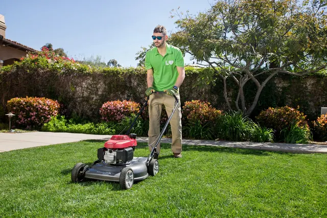 Lawn Love Lawn Care of Jacksonville — photo from the business 8