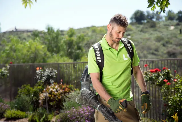 Lawn Love Lawn Care of Jacksonville — photo from the business 7