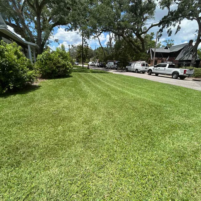 Lawn Love Lawn Care of Jacksonville — photo from the business 3
