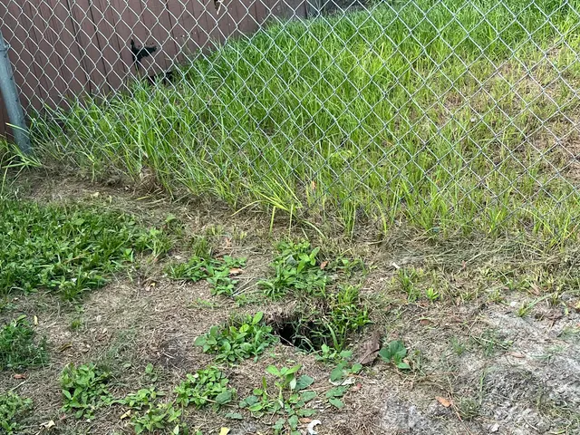 Legacy Lawn Service — customer photo 8