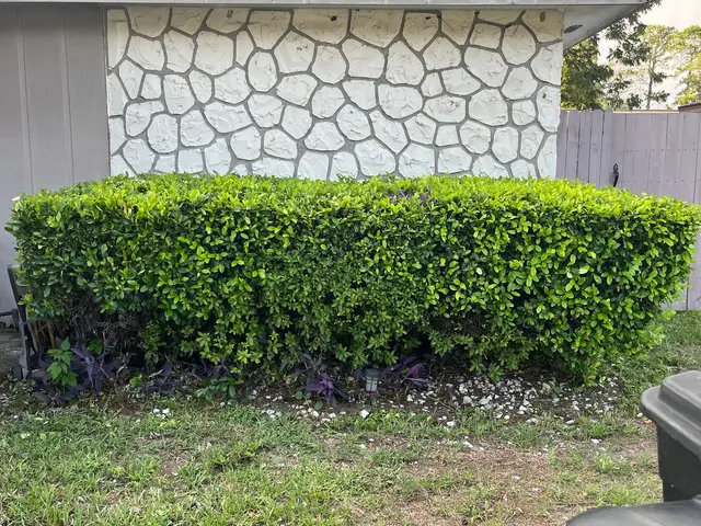 Legacy Lawn Service — customer photo 7