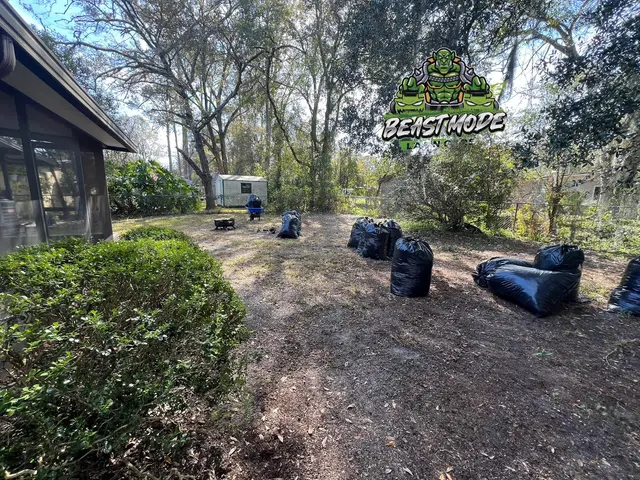 Beast Mode Lawn Care — photo from the business 12