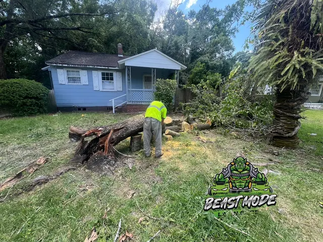 Beast Mode Lawn Care — photo from the business 6