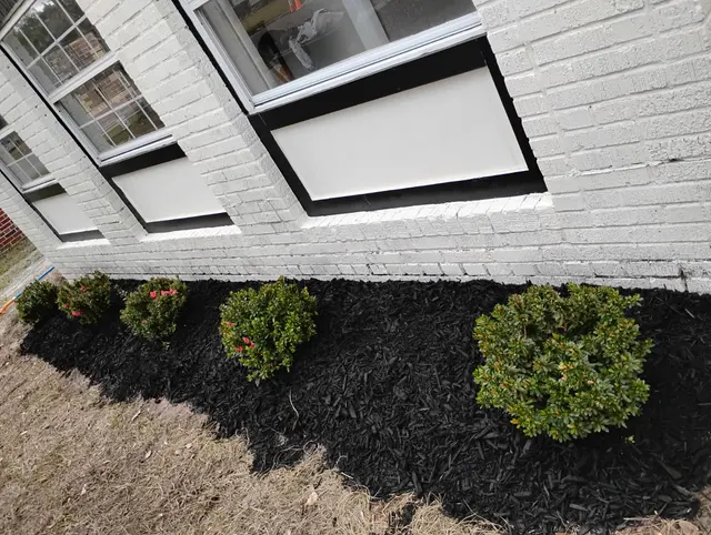 Beast Mode Lawn Care — photo from the business 11
