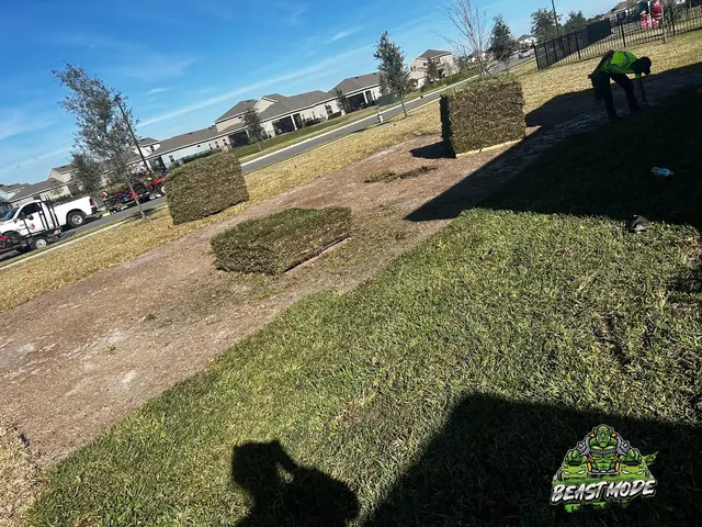 Beast Mode Lawn Care — photo from the business 9