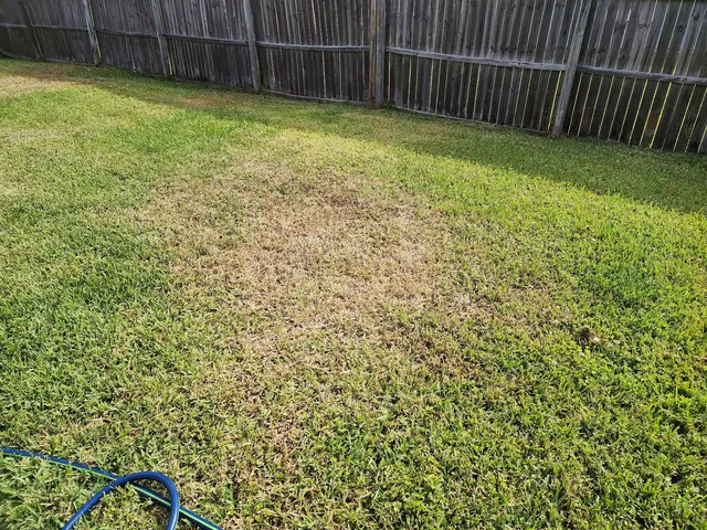 Customer photo from Savannah's review