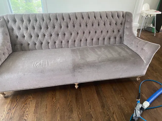 Precise Carpet Cleaning — photo from the business 12