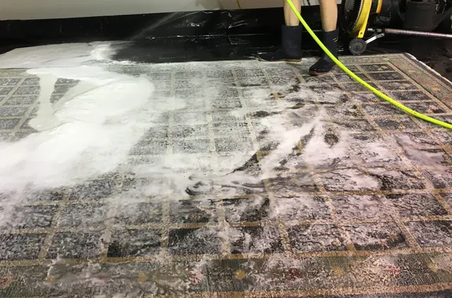 Precise Carpet Cleaning — photo from the business 11