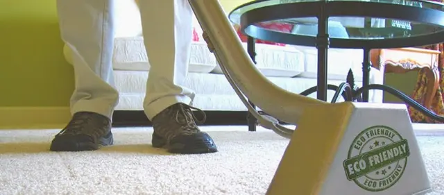 Precise Carpet Cleaning — photo from the business 7