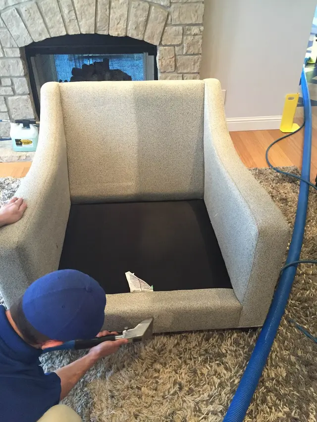Precise Carpet Cleaning — photo from the business 9
