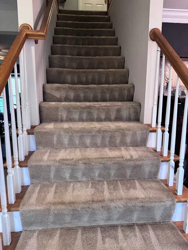 Precise Carpet Cleaning — customer photo 6