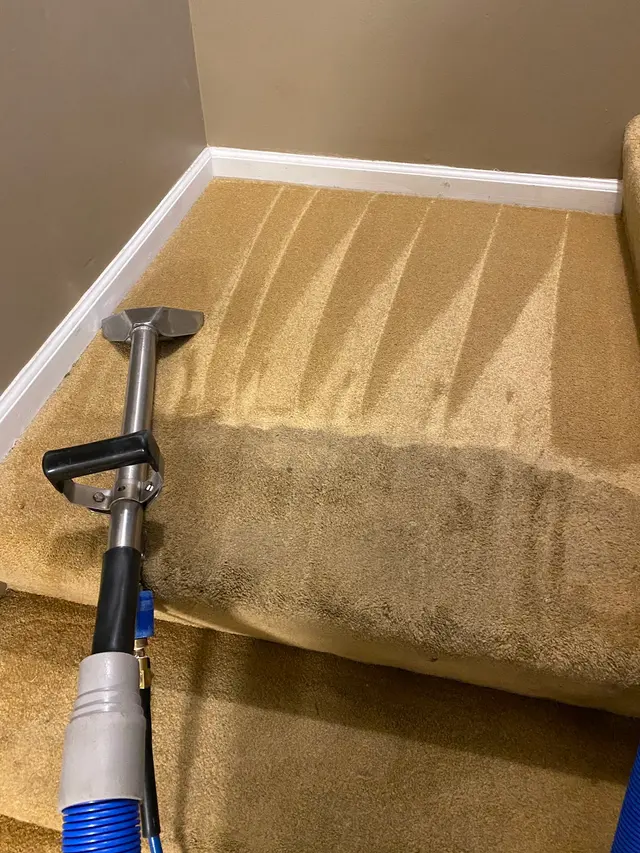 Precise Carpet Cleaning — photo from the business 10