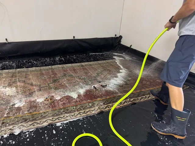 Precise Carpet Cleaning — customer photo 4