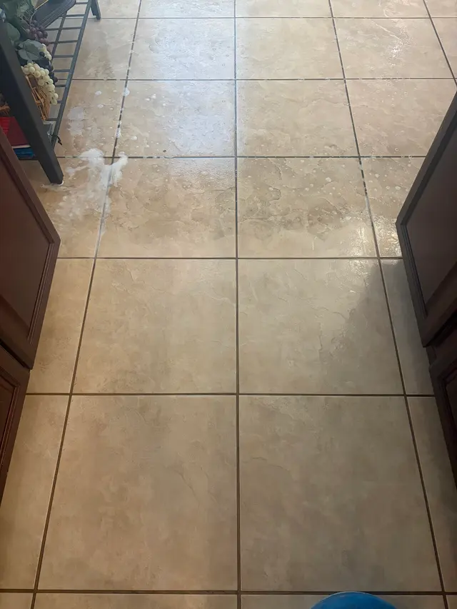 Precise Carpet Cleaning — customer photo 3