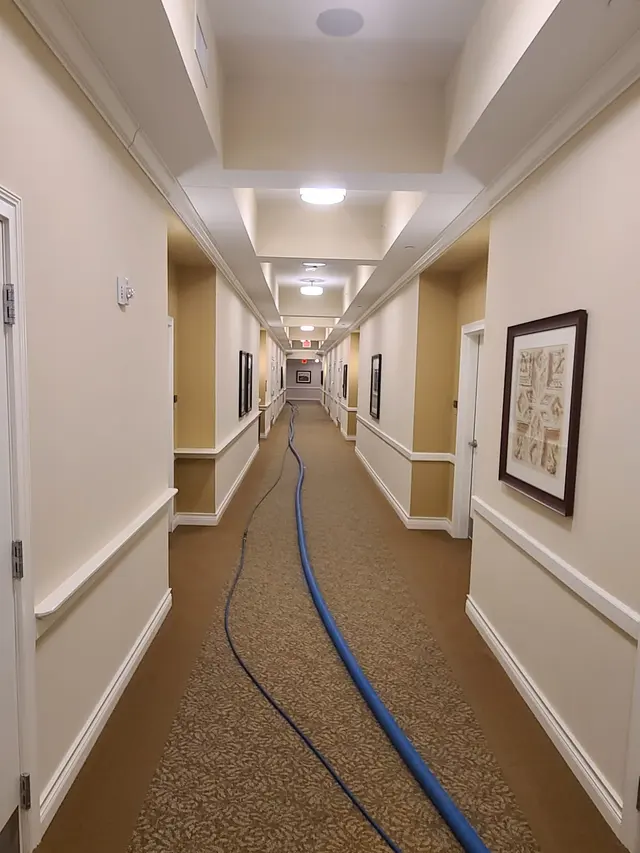 Dunbar Carpet Cleaning Company — photo from the business 12