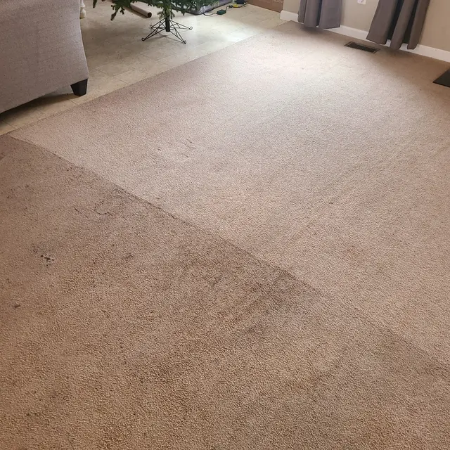Dunbar Carpet Cleaning Company — photo from the business 1
