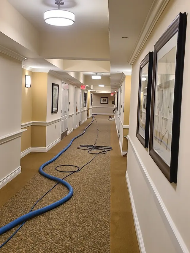 Dunbar Carpet Cleaning Company — photo from the business 4