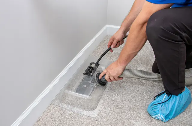 Complete Carpet Care — photo from the business 2