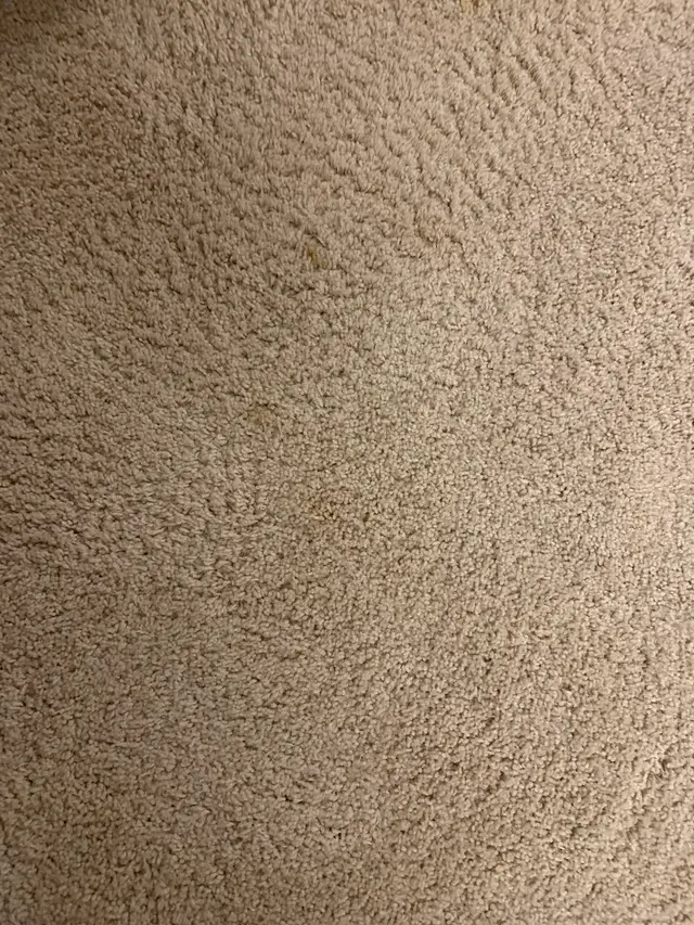 Complete Carpet Care — customer photo 9