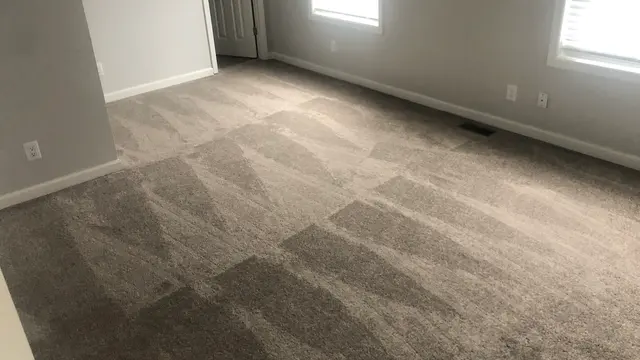 Complete Carpet Care — photo from the business 12