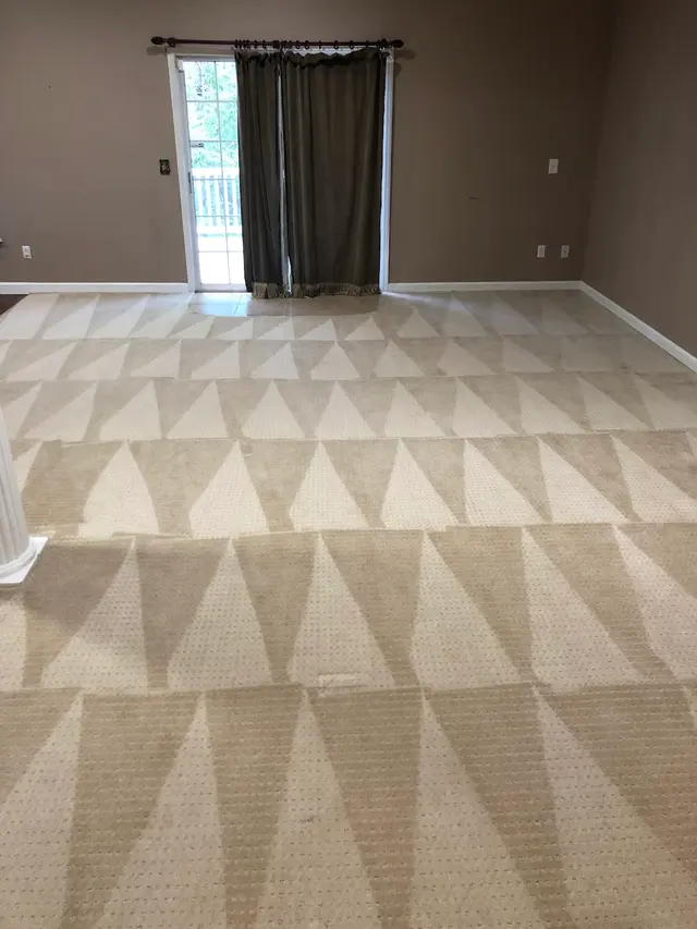 Complete Carpet Care — photo from the business 3
