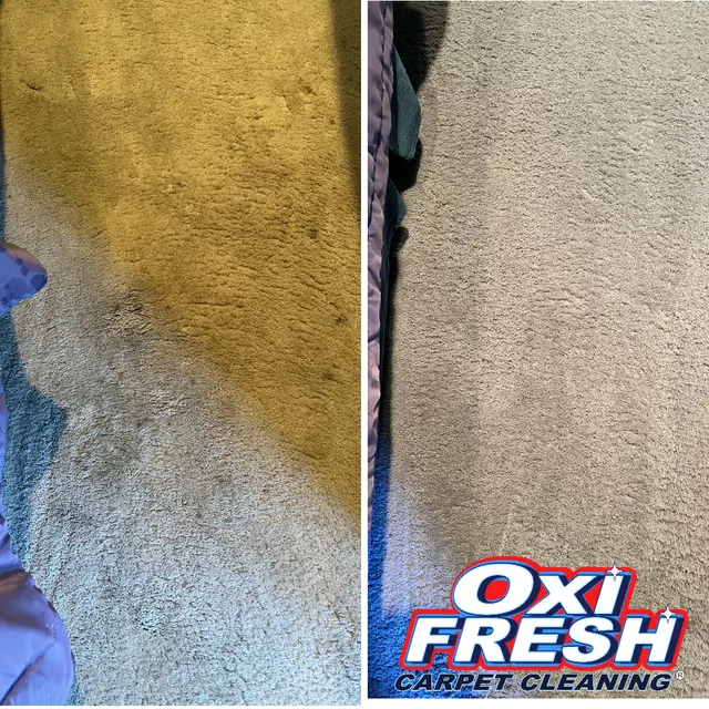 Oxi Fresh Carpet Cleaning — photo from the business 10