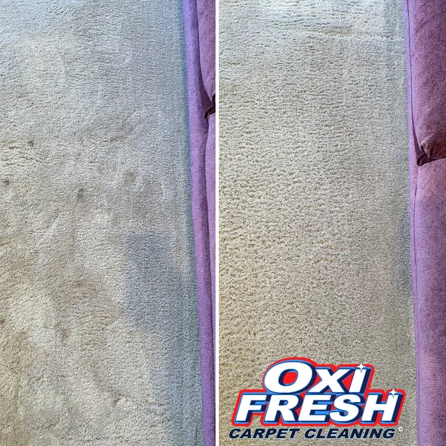 Oxi Fresh Carpet Cleaning — photo from the business 6