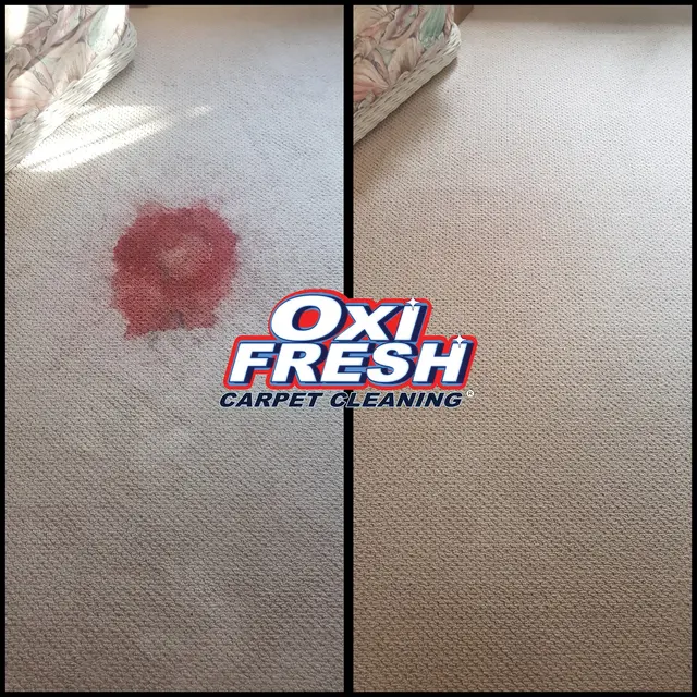 Oxi Fresh Carpet Cleaning — photo from the business 7