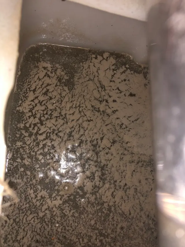 Oxi Fresh Carpet Cleaning — customer photo 4