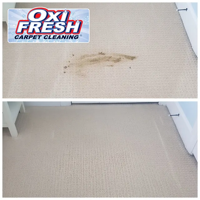 Oxi Fresh Carpet Cleaning — photo from the business 8