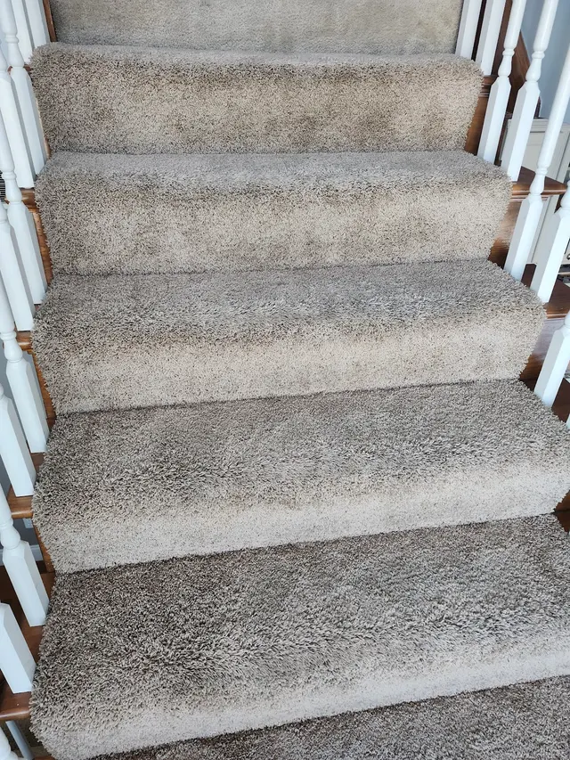 Oxi Fresh Carpet Cleaning — customer photo 3