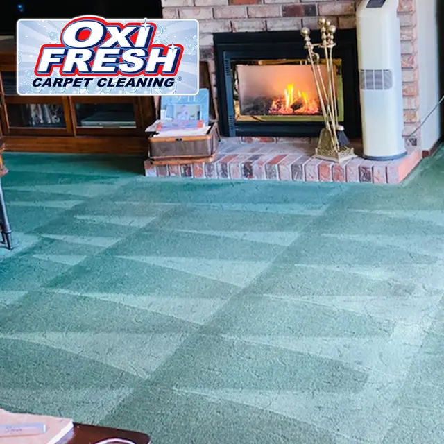 Oxi Fresh Carpet Cleaning — photo from the business 12