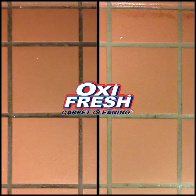 Oxi Fresh Carpet Cleaning — photo from the business 11