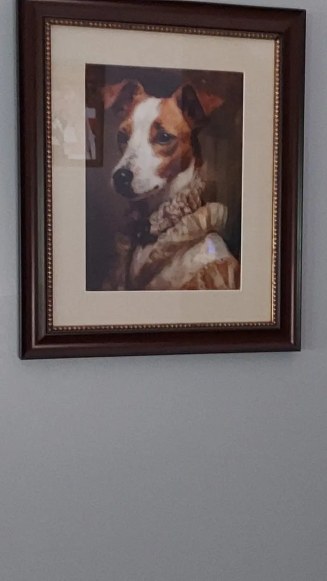 Customer photo of work by Donovan's Custom Framing and Gifts, from Rose Nash's review
