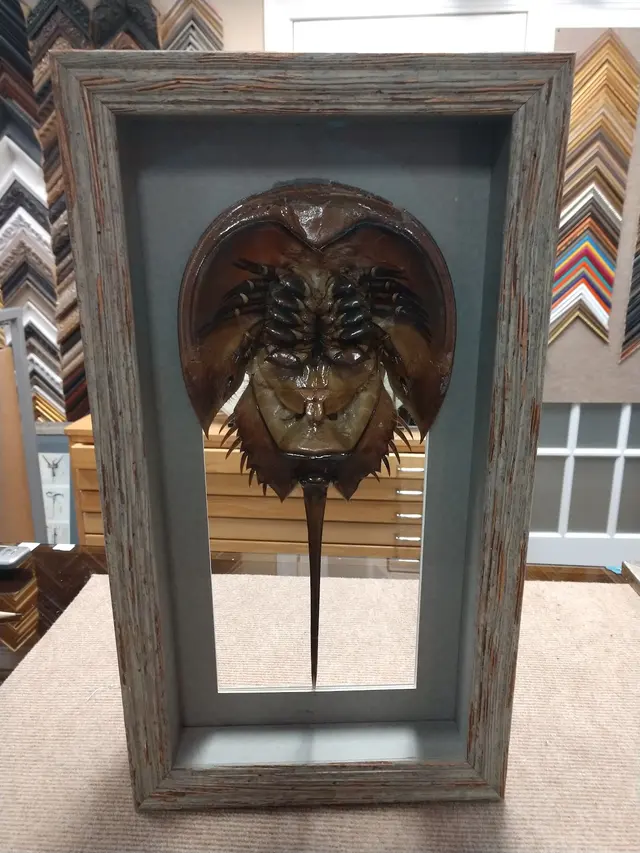 Donovan's Custom Framing and Gifts — photo from the business 8