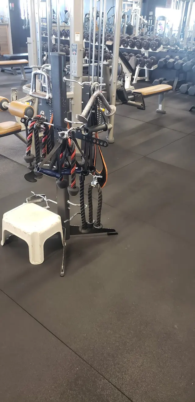 Wolf Fitness Brigantine — customer photo 11