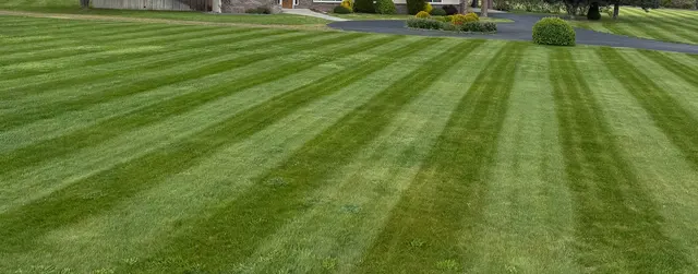 Sweet Valley Lawn Care — photo from the business 12