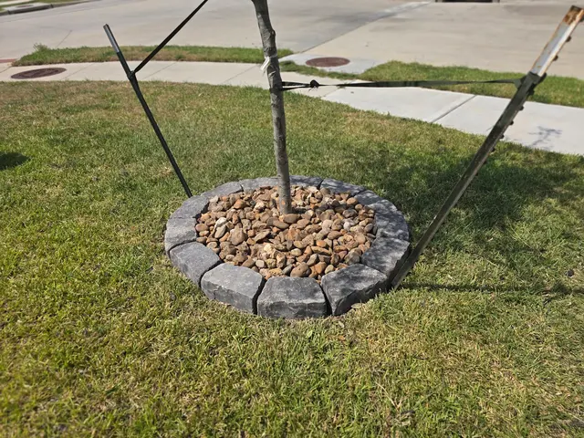 Alpha Lawn & Landscaping — customer photo 6