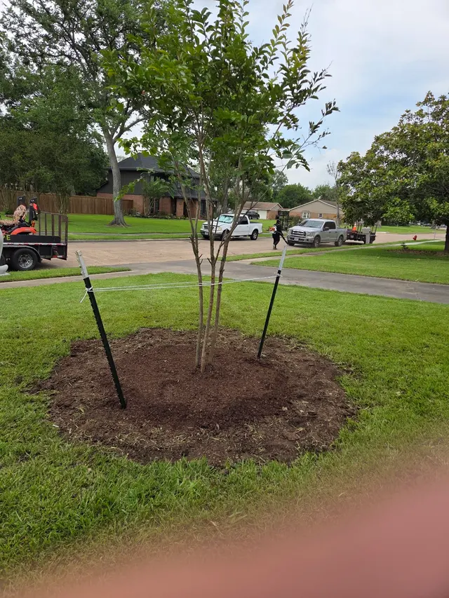 Alpha Lawn & Landscaping — customer photo 11