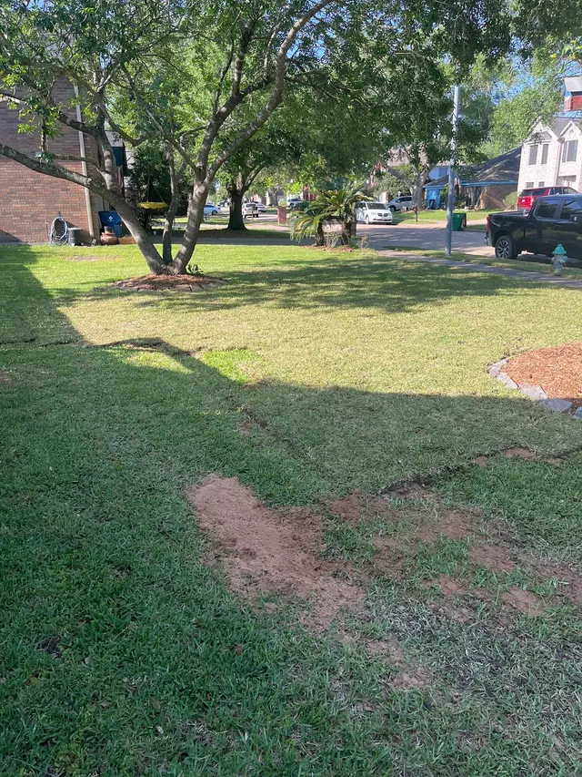 Alpha Lawn & Landscaping — customer photo 12