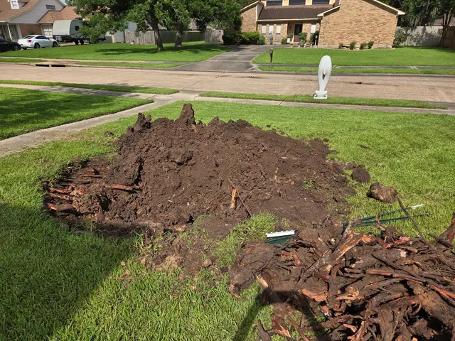 Alpha Lawn & Landscaping — customer photo 10