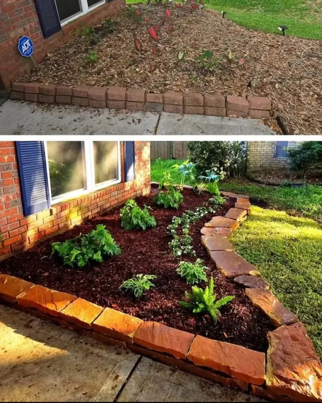 Affordable Lawn Care Solutions — photo from the business 4