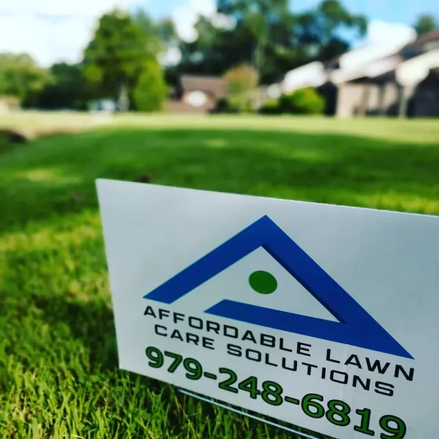 Affordable Lawn Care Solutions — photo from the business 5