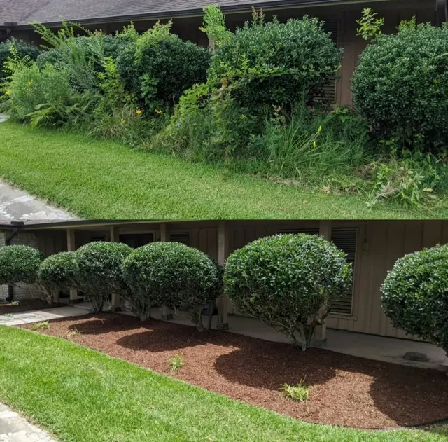 Affordable Lawn Care Solutions — photo from the business 2