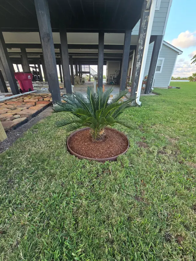 Affordable Lawn Care Solutions — photo from the business 12