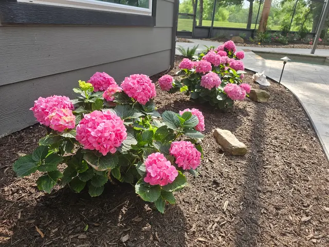 Highland Lawn & Landscaping — photo from the business 9
